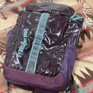 USED but Great Condition PATAGONIA Black Hole 25L Day Backpack-RARE Purple/Teal